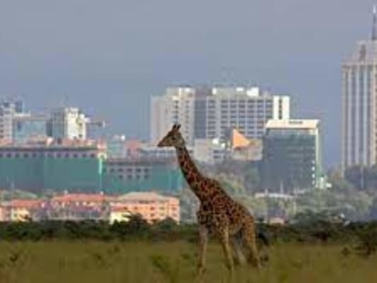 Jour 2 - Visite de la ville de Nairobi