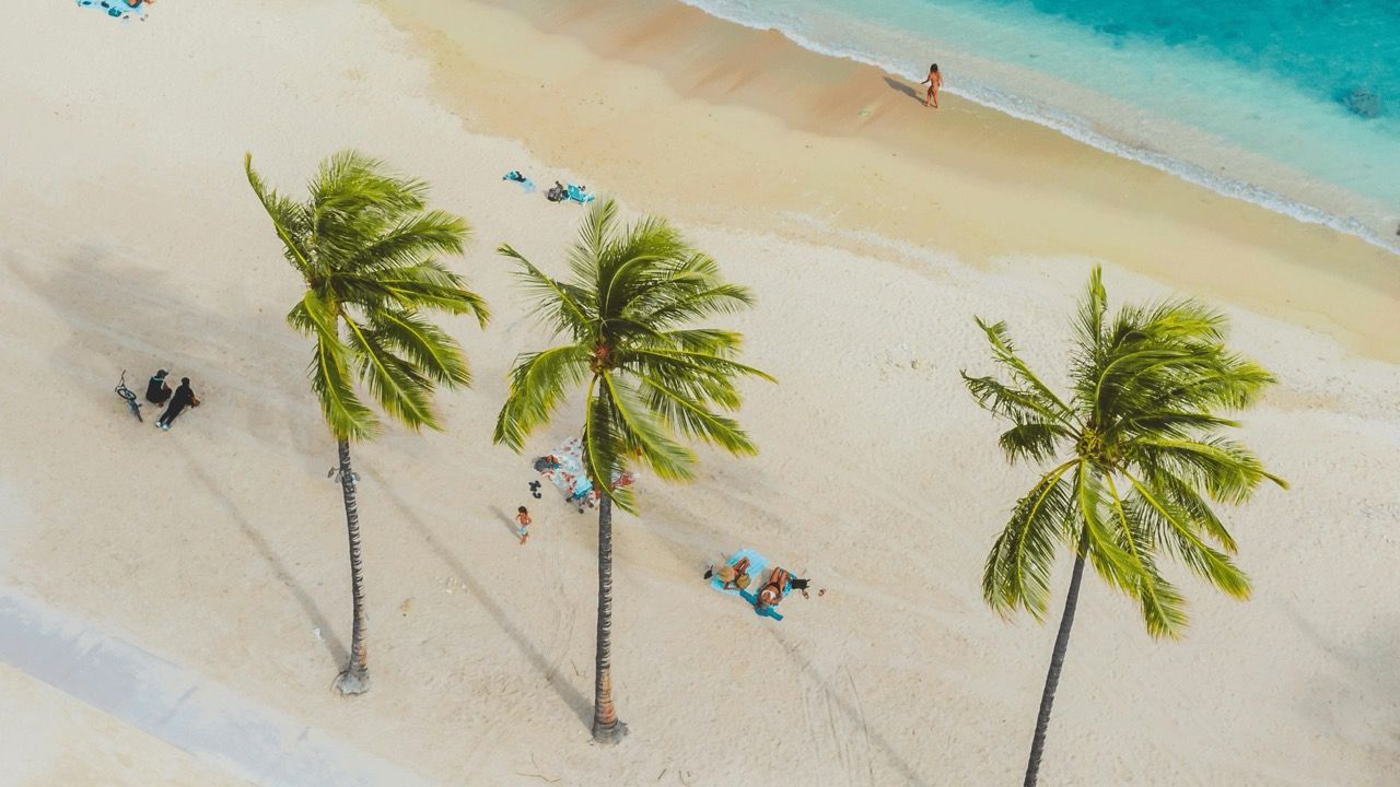 Zanzibar : Les incontournables pour un séjour paradisiaque