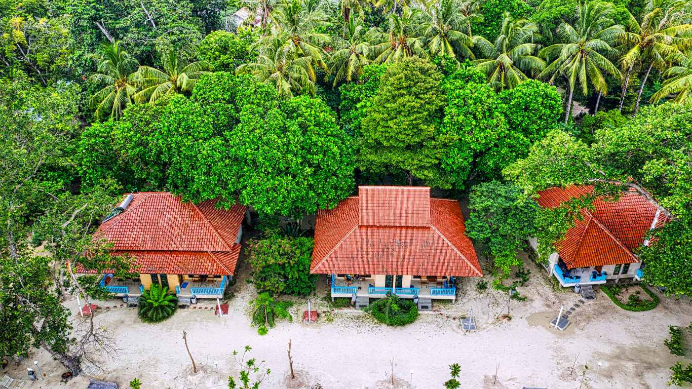 Entretien avec Hydal, B2B Business Developer chez EASE